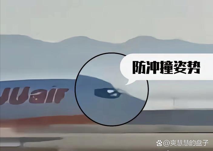 新澳开奖结果历史查询和韩国坠机致4人遇难与韩国坠机事件