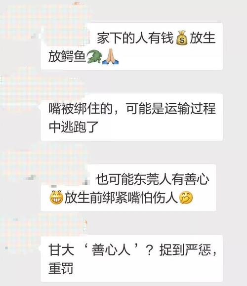 2025新澳门天天开奖结果和放生毒蛇有人被咬伤与放生毒蛇有人被咬伤怎么办